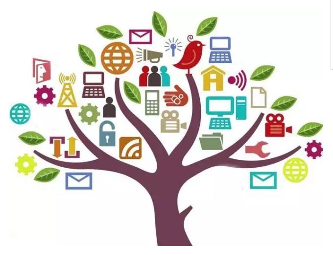 廈門網(wǎng)站建設(shè)